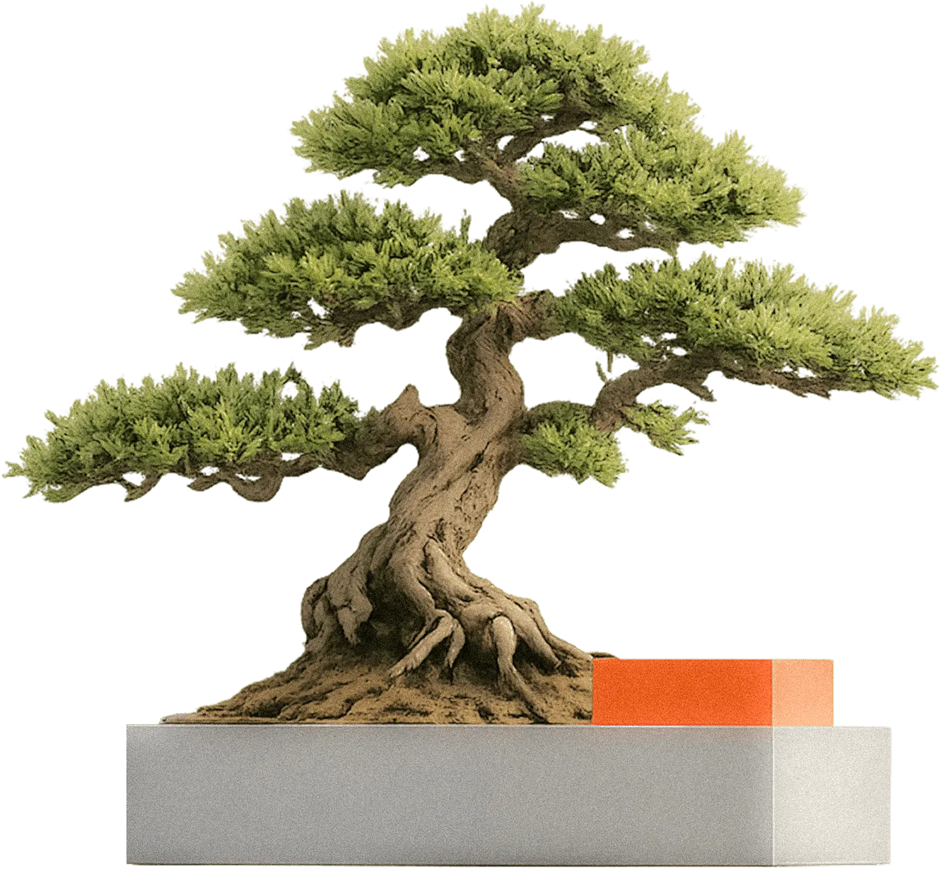 A bonsai tree on a stone plinth