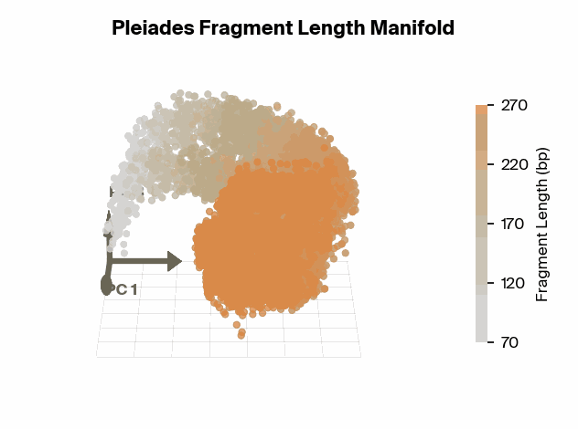 Rotating 3D plot of the Pleiades fragment length manifold, coloured by DNA fragment length