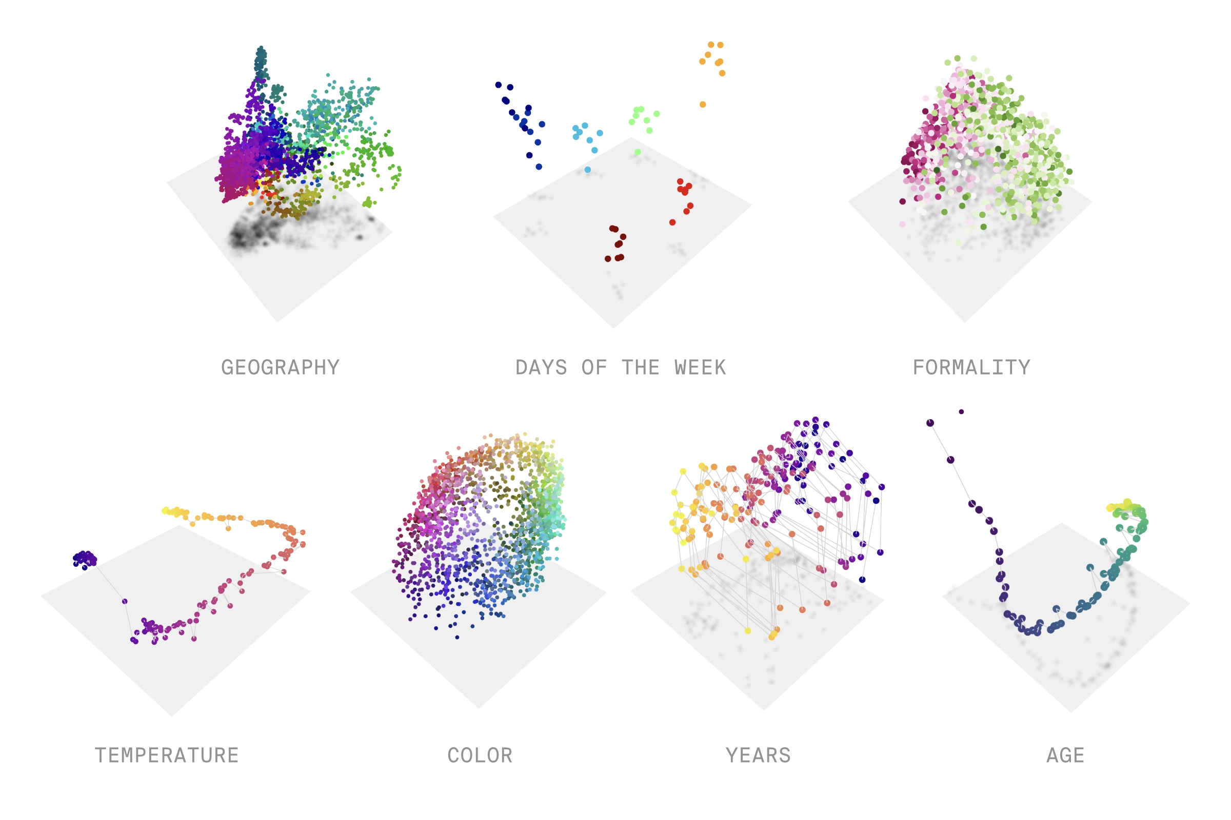 The World Inside Neural Networks