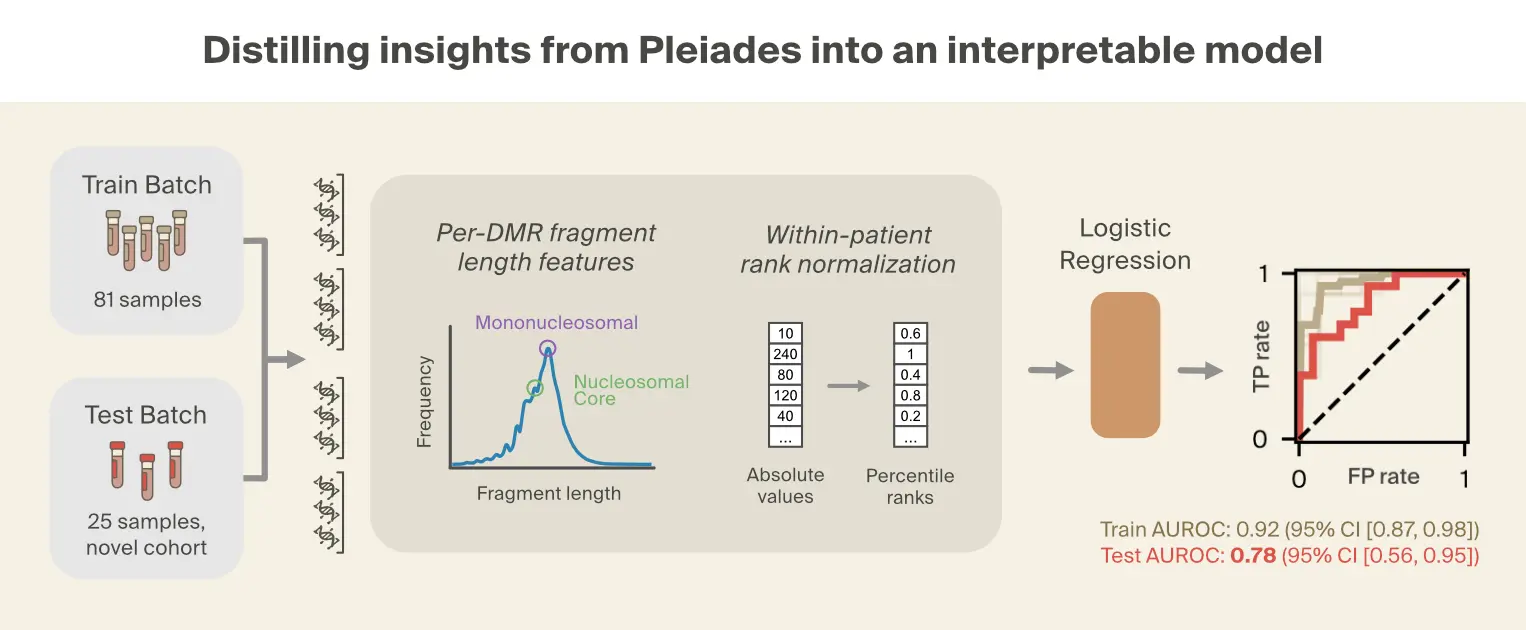 Distillation of Pleiades performance to interpretable classifier
