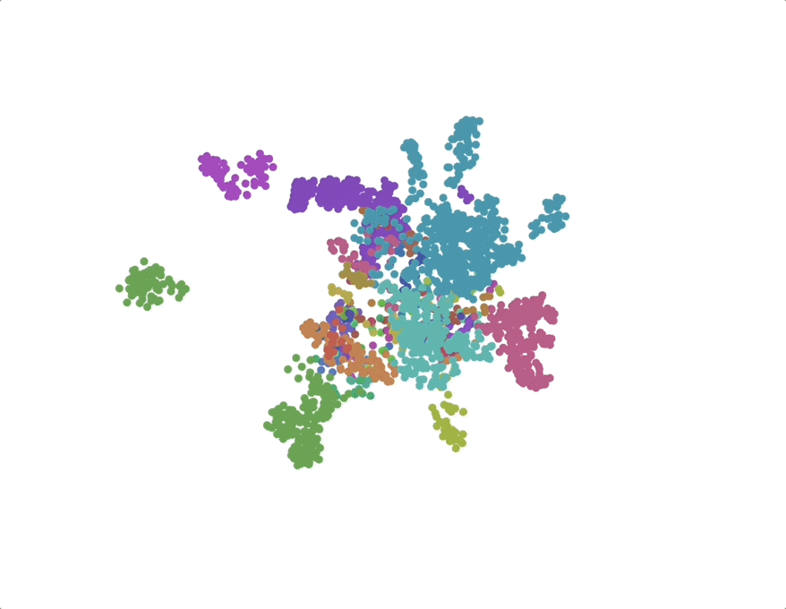Rotating 3D UMAP of species embeddings, clustered and coloured by branch of the tree of life